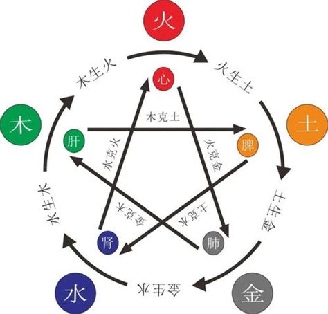 五行多木|八字木多怎么化解 八字木多的人要注意什么